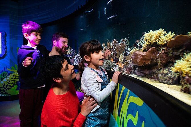 SEA LIFE London Aquarium Admission Ticket - Shark Reef Encounter is the aquarium’s headline tank
