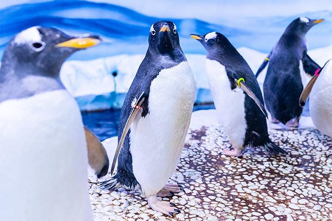 SEA LIFE London Aquarium Admission Ticket - Rainforest Adventure changes the subject