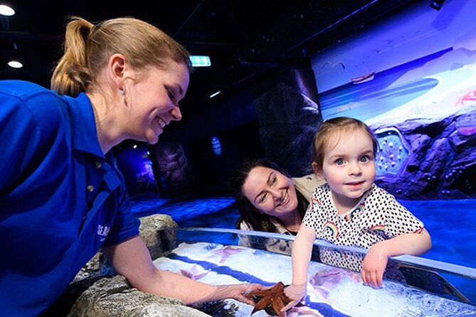 SEA LIFE London Aquarium Admission Ticket - The Atlantic Ocean route brings variety early