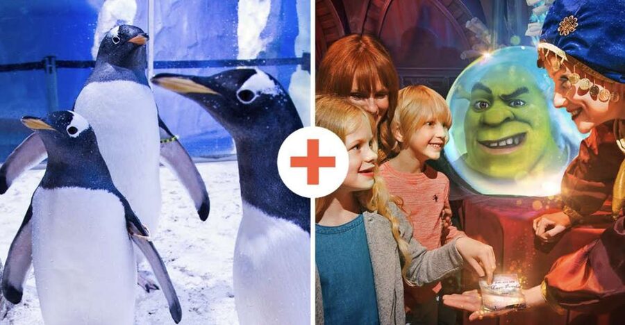 SEA LIFE London & DreamWorks Shrek's Adventure: Combo Ticket - Key points to know before booking