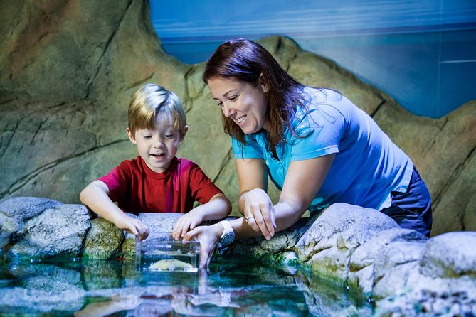 SEA LIFE Manchester Admission Ticket - The glass tunnel is the main showpiece