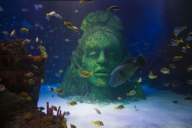 SEA LIFE Manchester Admission Ticket - Stingray Bay offers a gentler pause