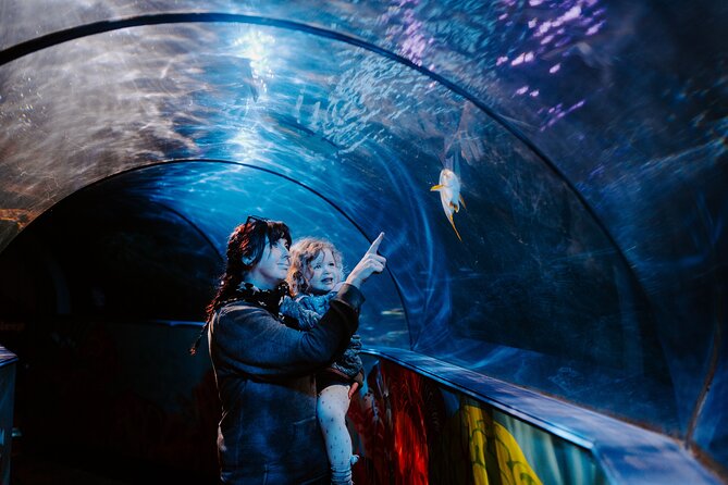 SEA LIFE Weymouth Admission Ticket - Five things to know before you go