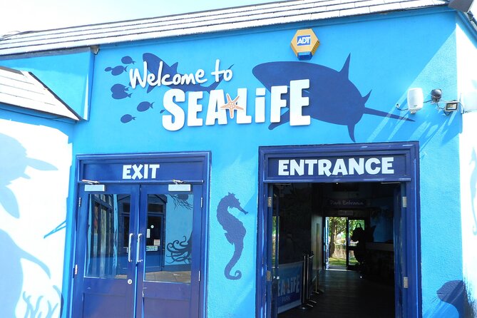 SEA LIFE Weymouth Admission Ticket - What your $19.34 admission buys