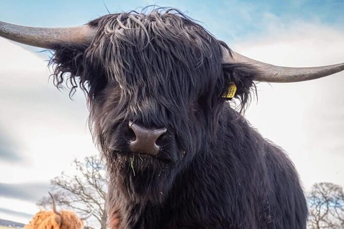 Secret Loch Ness, Inverness Castle visit, Culloden, Clava Cairns - Culloden Battlefield: Scotland’s most emotional stop