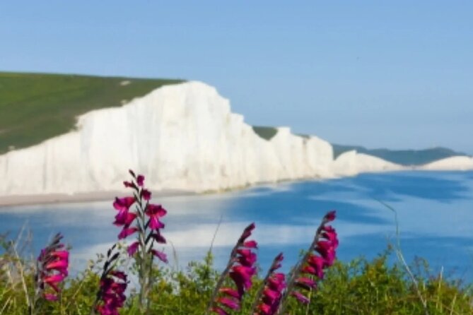 Seven Sisters & South Downs Tour with Train Tickets Included - Is $117.89 good value?