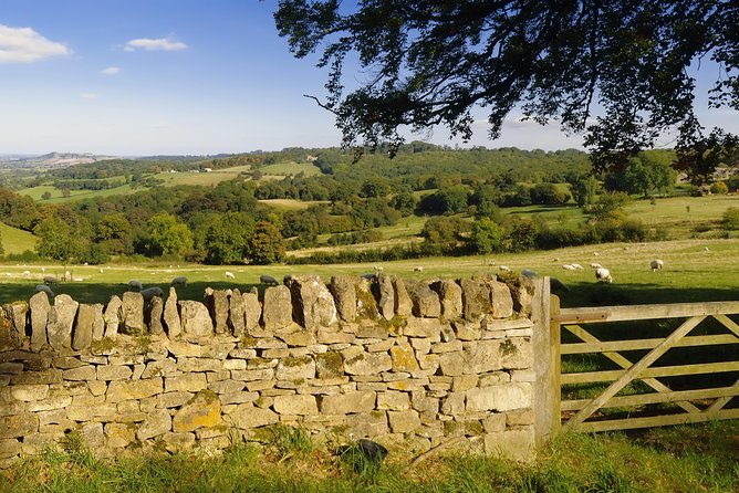 Small-Group Cotswolds Tour (From London) - The guide can make or break the driving time