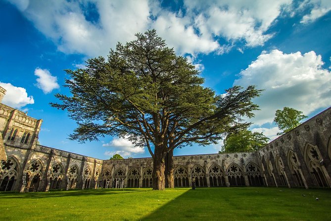 Southampton: Post-Cruise Tour to London via Salisbury, Stonehenge and Windsor - Luggage rules and hotel drop-off details