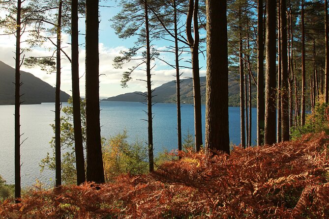 Stirling Castle, Loch Lomond and Cruise Day Tour from Glasgow - Comfort, pace, and practical limits