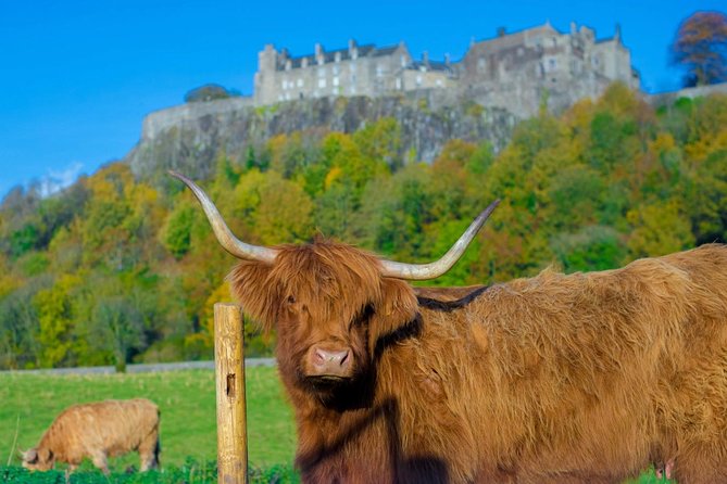 Stirling Castle,Trossachs National and Loch Lomond Day Tour from Edinburgh - Balmaha and Loch Lomond: scenery with a short walk