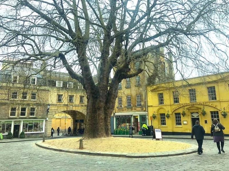 Stonehenge, Bath, Windsor and Roman Baths London Day Tours - How much value do you get for $105.07?