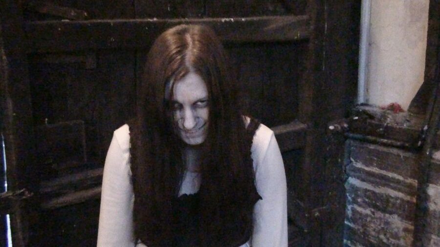 Stratford-upon-Avon: Lantern-Lit Ghost Tour at Tudor World - Who should book this experience?