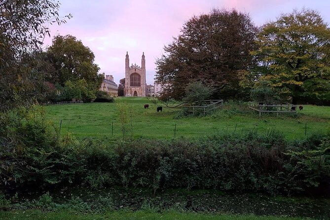 Tangential Cambridge: Group Walking Tour of Sights and Highlights - Free School Lane and Cambridge’s science story