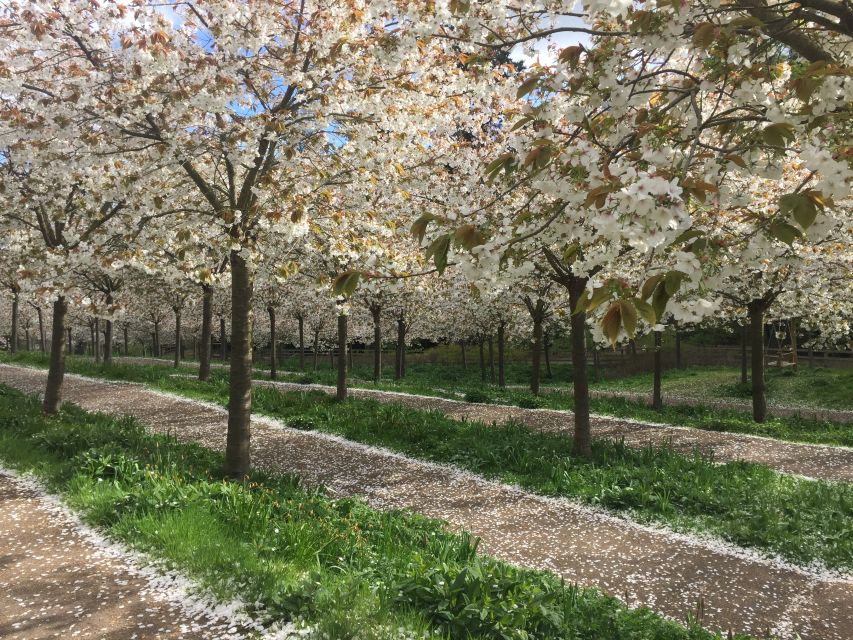 The Alnwick Garden: Entry Ticket - Entering The Alnwick Garden and getting your bearings