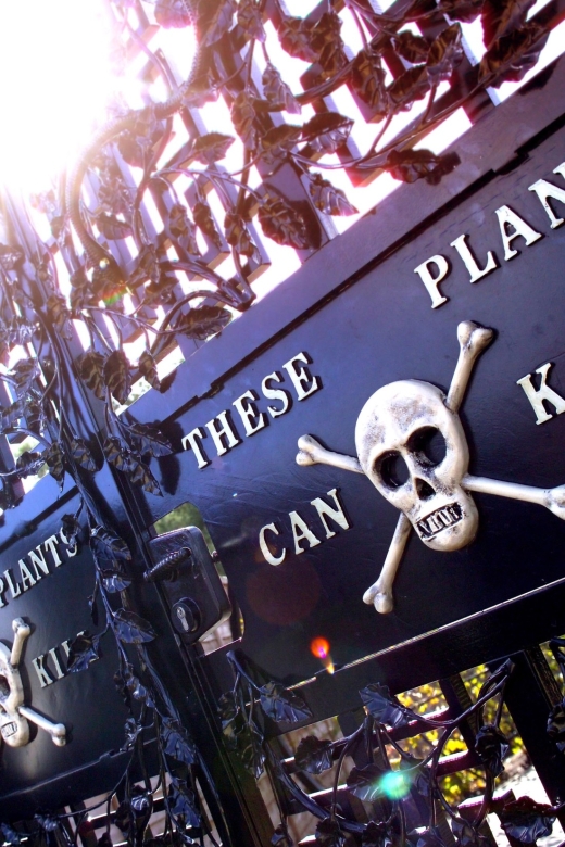 The Alnwick Garden: Entry Ticket - Access, dogs, and practical comfort