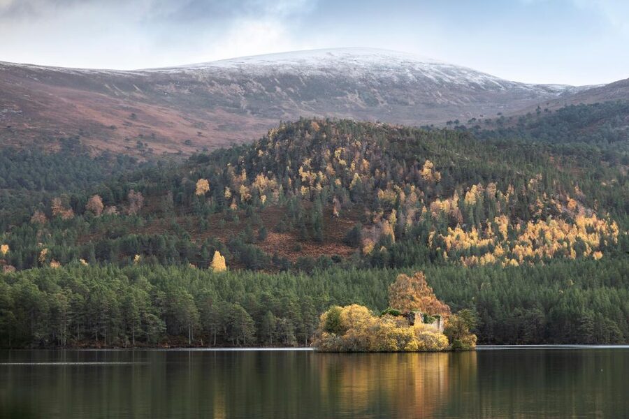 The Cairngorms, Culloden, and Speyside Whisky Tour - Key points before you book