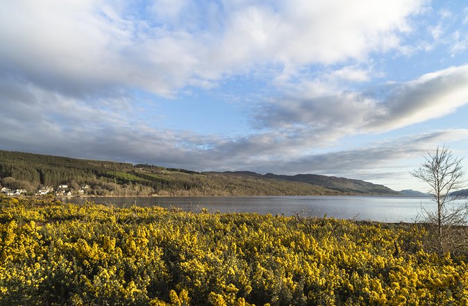 The Complete Loch Ness Experience Small-Group Day Tour from Inverness - The Jacobite cruise puts Nessie at eye level
