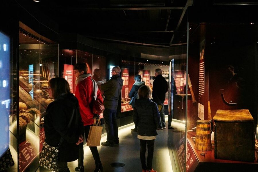 The Mary Rose: Day Admission Ticket - Seeing the Mary Rose at Portsmouth Historic Dockyard