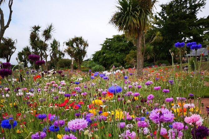 The story of Agatha Christie's extraordinary life - Who will enjoy this Torquay walk?
