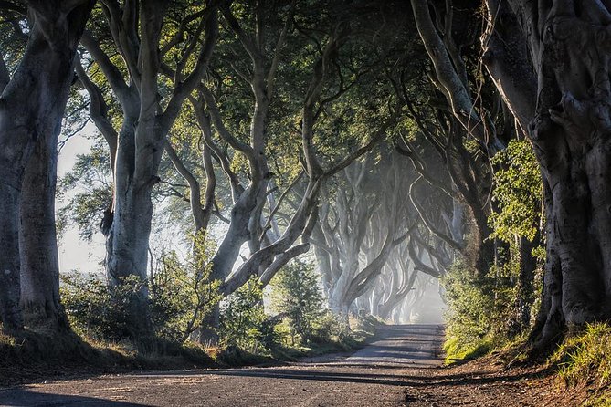 Titanic Experience and Giant's Causeway tour from Belfast - The coach ride and group size