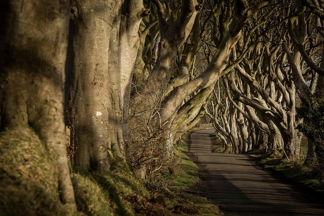 Titanic Experience and Giant's Causeway tour from Belfast - Who should book this tour?