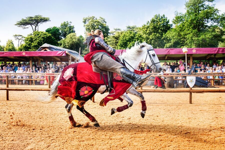 Warwick: Entry Ticket for Warwick Castle - The castle interiors, artefacts, and medieval story