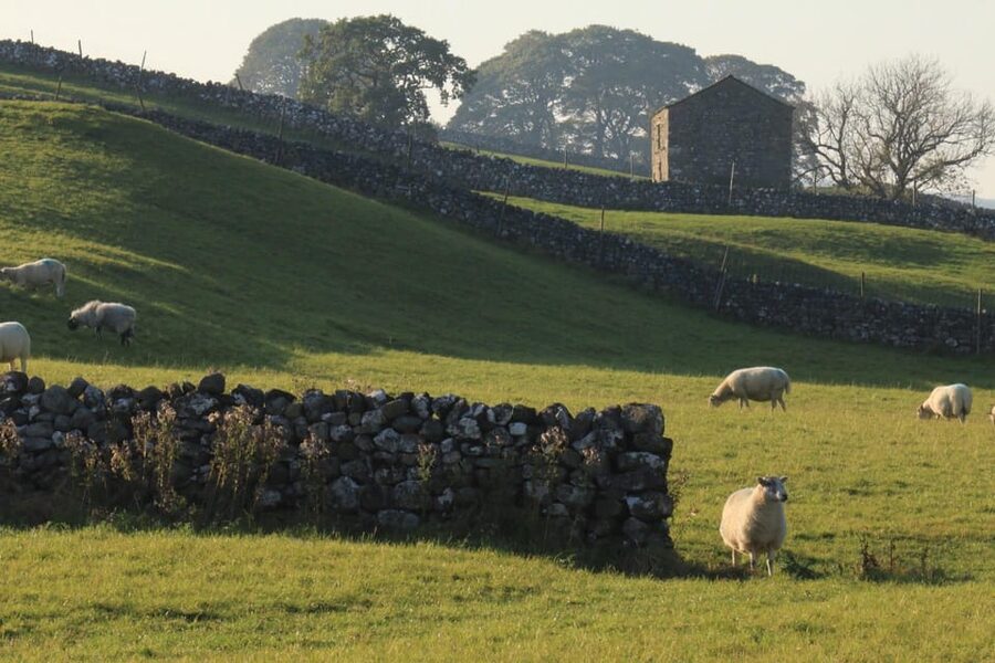 York: "All Creatures Great and Small" Yorkshire Dales Tour - Carperby and the Wheatsheaf Inn
