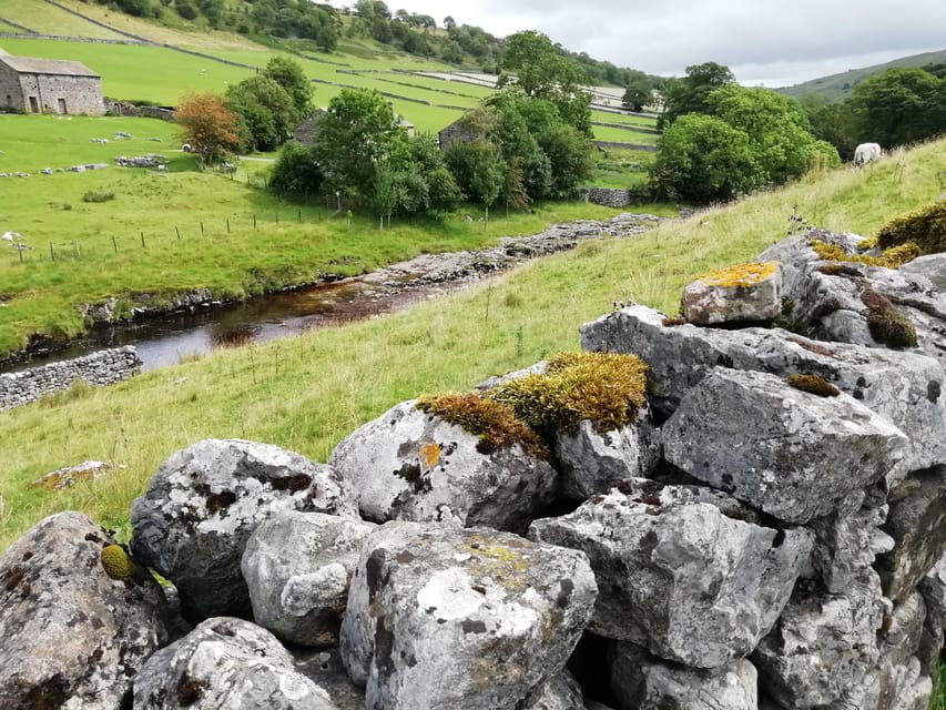 York: "All Creatures Great and Small" Yorkshire Dales Tour - Askrigg, the original Darrowby