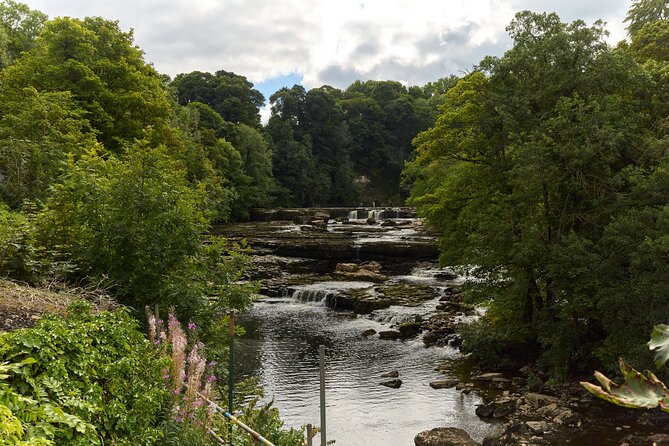 Yorkshire Dales Tour from York - Aysgarth Falls: beautiful, brief, and weather-dependent