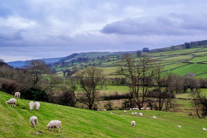 Yorkshire Dales Tour from York - Lunch, toilets, and the practical rhythm